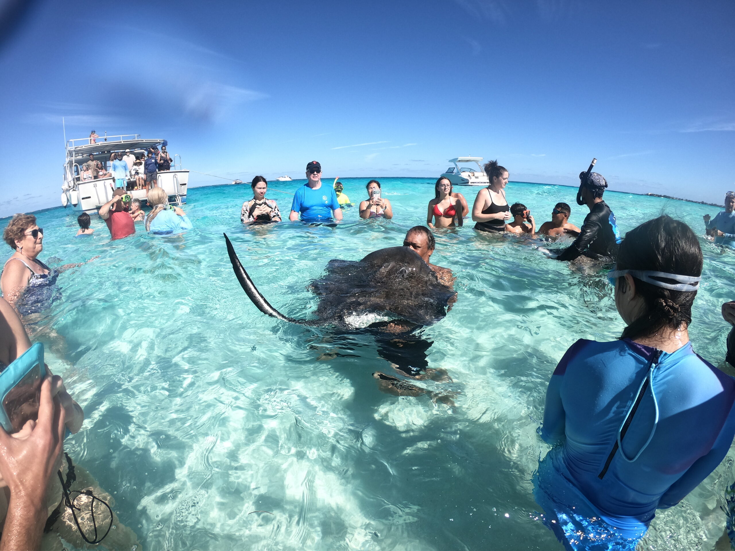 Stung! By a stingray excursion in Grand Cayman