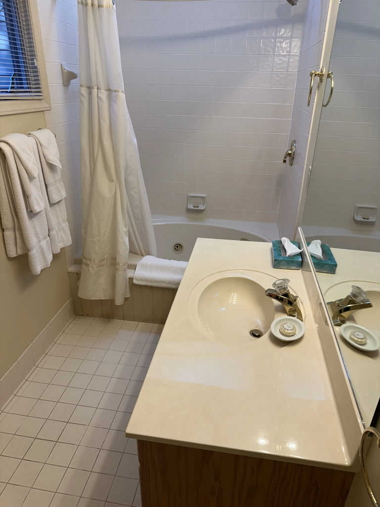 Iris 4 Master Bath