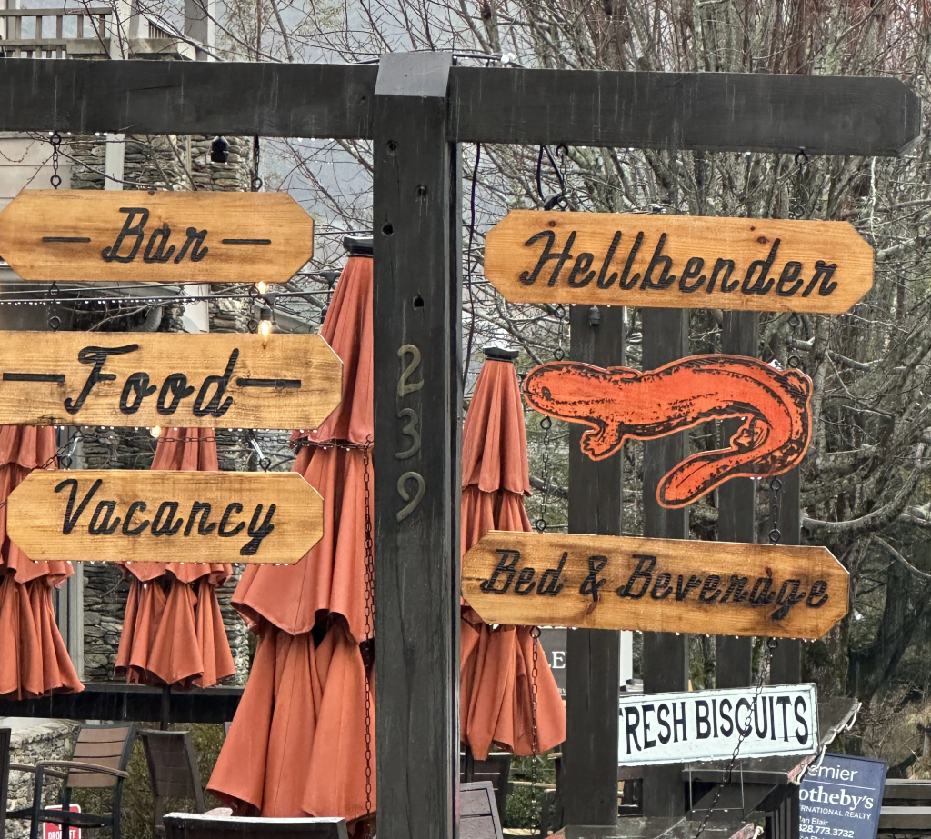 Hellbender Bed and Beverage, Blowing Rock, NC